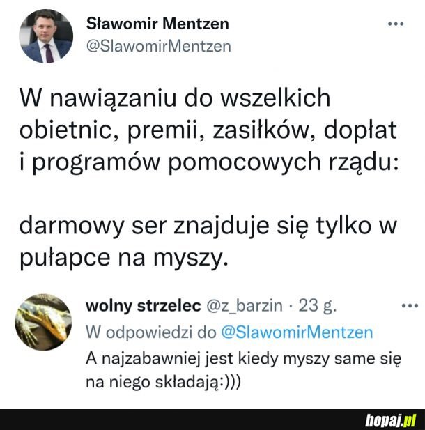 Darmowy ser