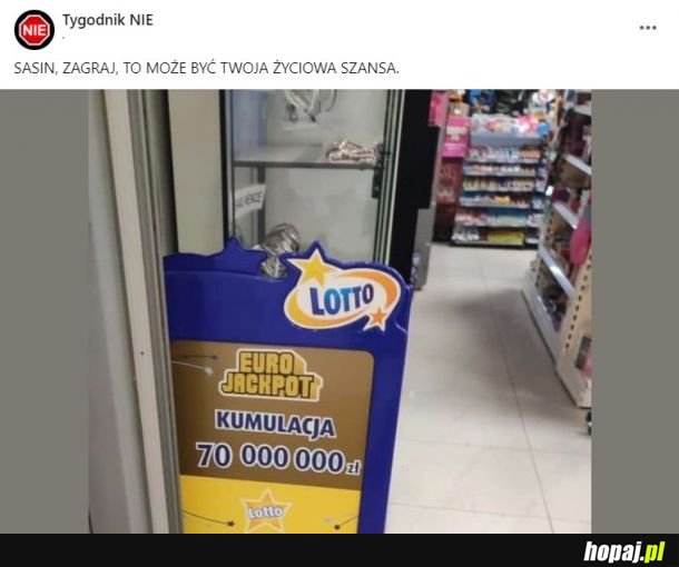 Jeden sasin do wygrania