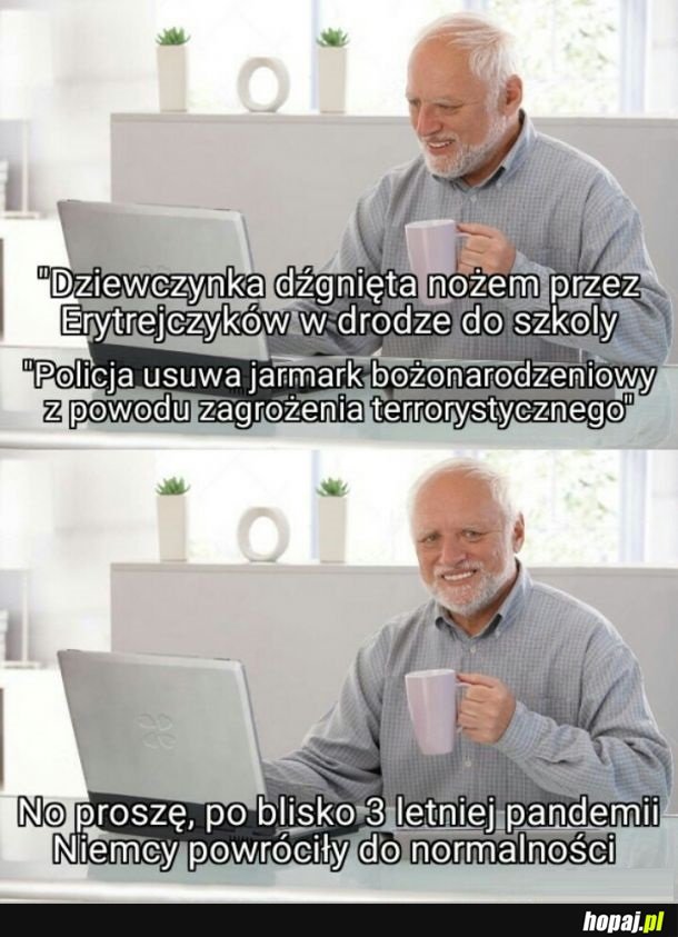 Niemcy powrócili do normalności