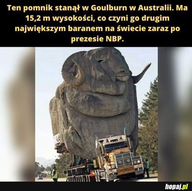 Pomnik