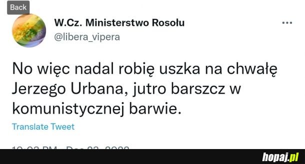 Prawdziwe znaczenie świąt