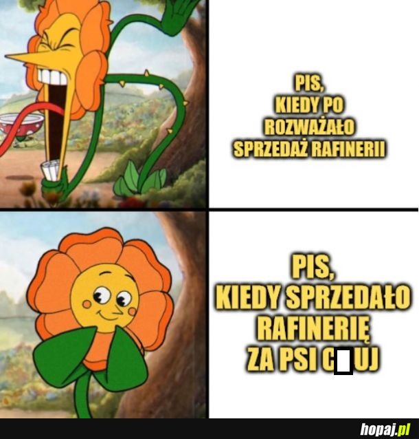 Rafineria