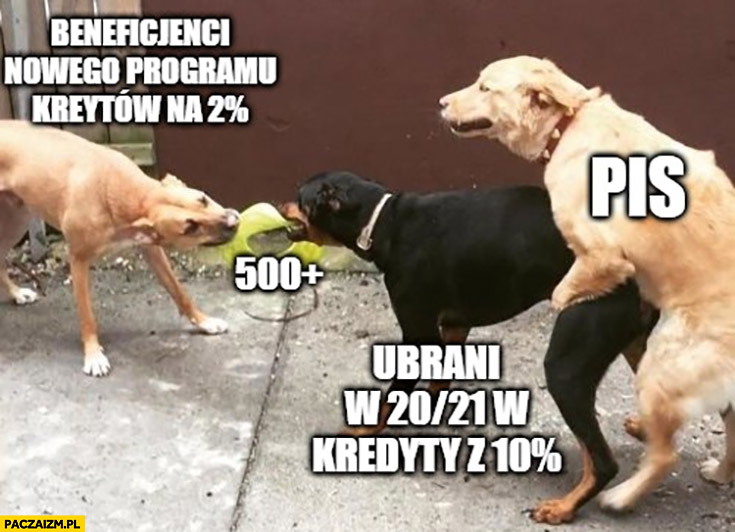 Wszyscy wszystkich dymają