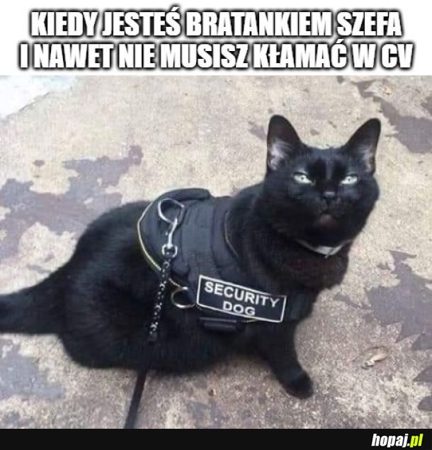 Bratanek Alika