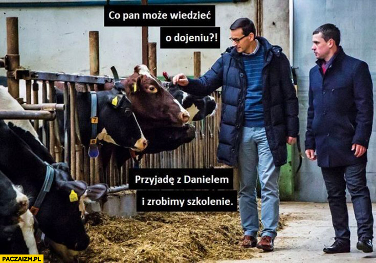 Co pan może wiedzieć o dojeniu?