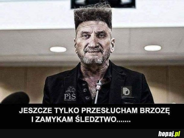 Jeszcze tylko przesłuchać brzozę
