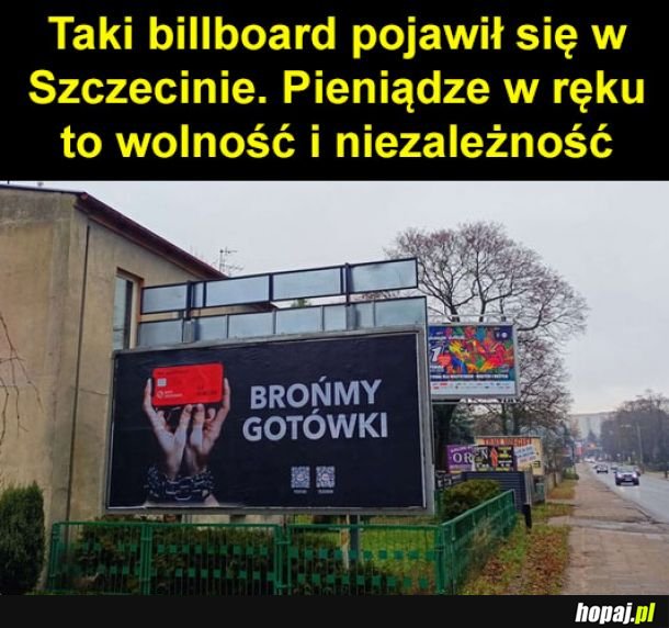 Pieniądze w ręku to wolność i niezależność?