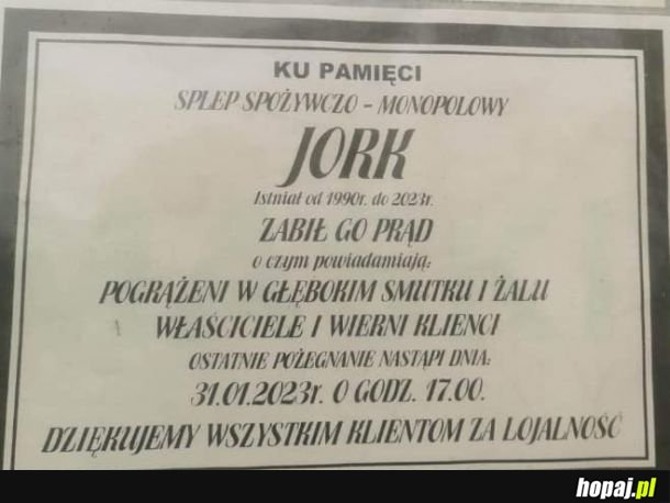 Prąd zabił Jorka