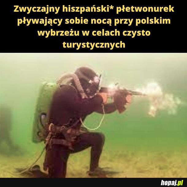 Zwyczajny hiszpański płetwonurek