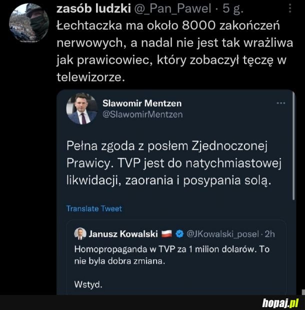 Łechtaczka