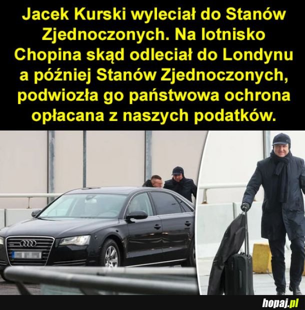 Ładnie się bawi