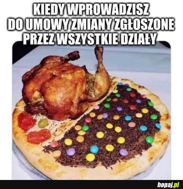Gdyby partia miała spełnić oczekwiania wszystkich wyborców