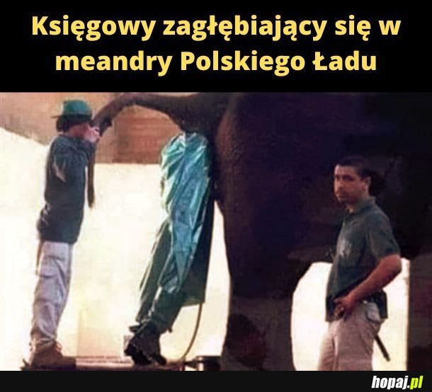 Księgowy zagłębiajacy się w meandry Polskiego Ładu