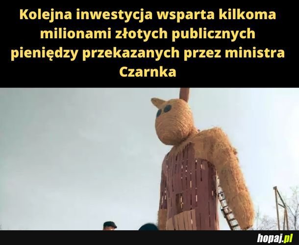 To jest miś na miarę naszych możliwości