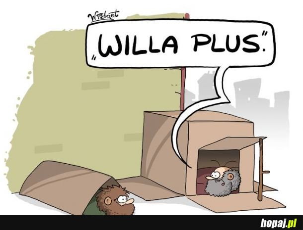 Willa plus
