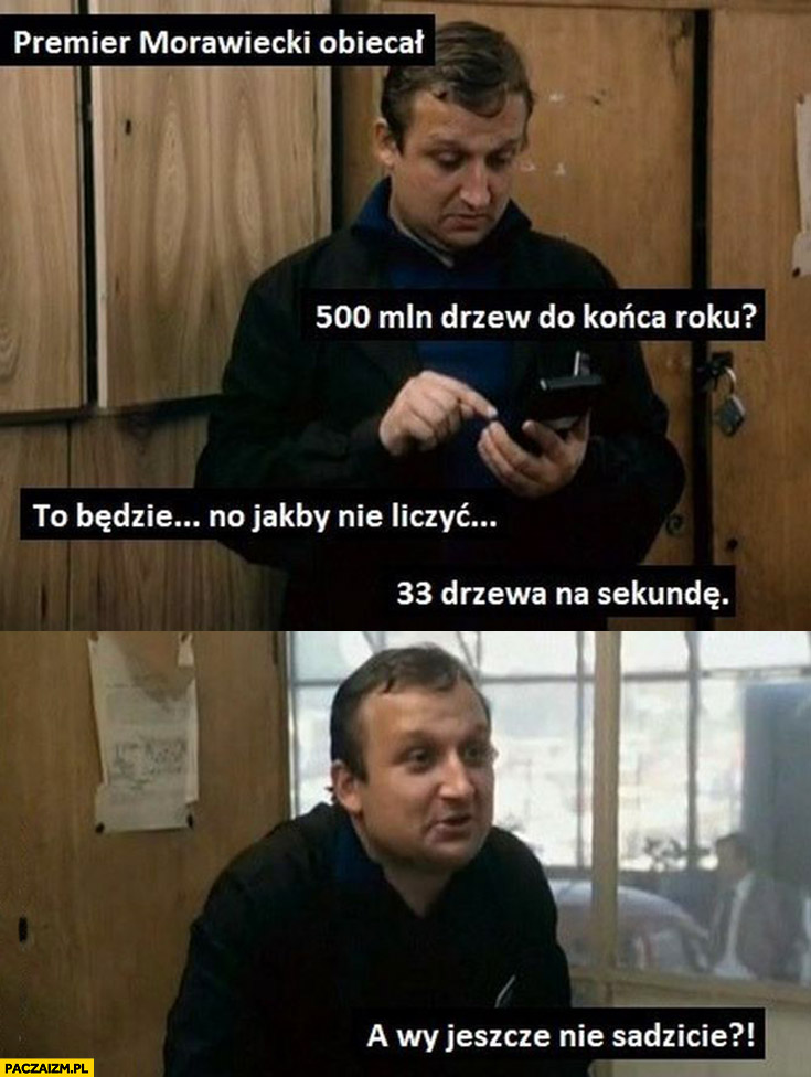 33 drzewa na sekundę