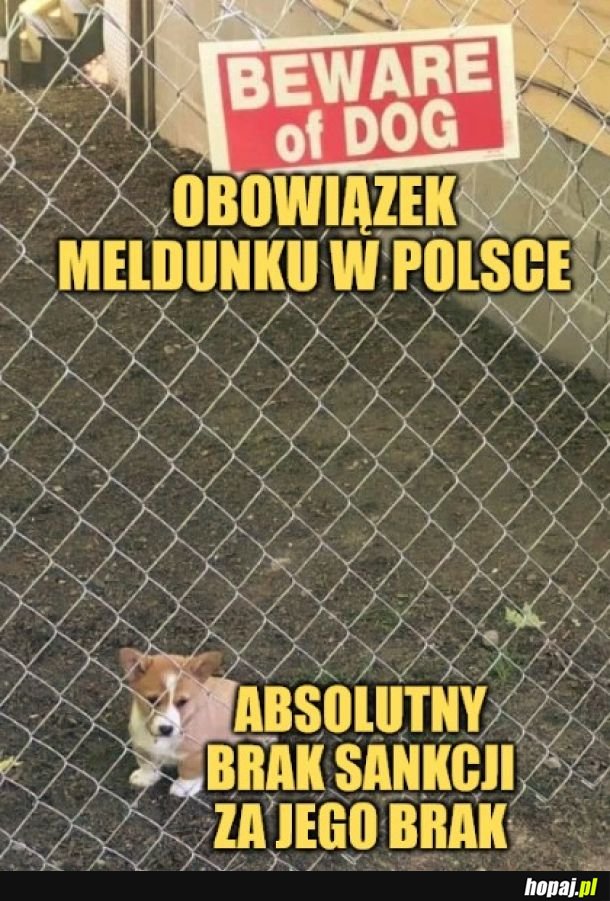 Beware of obowiązek meldunkowy