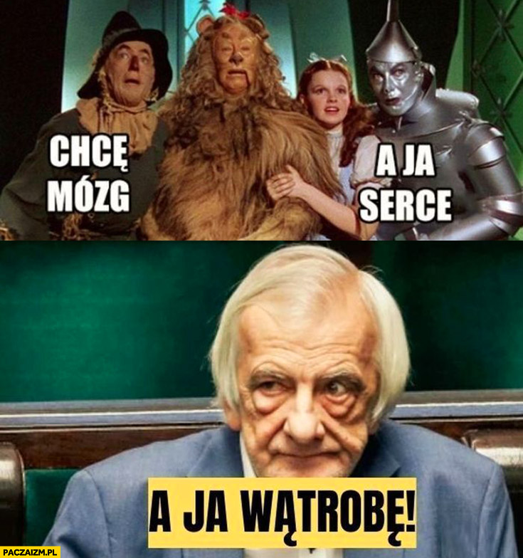 Dlaczego nie chce mózgu?