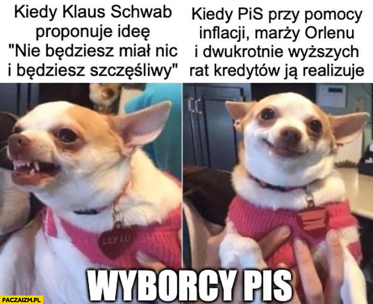 Dobrze ubrana idea