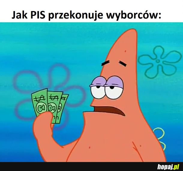 Jak PiS przekonuje wyborców