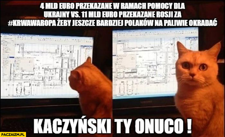 Kaczyński ty onuco!