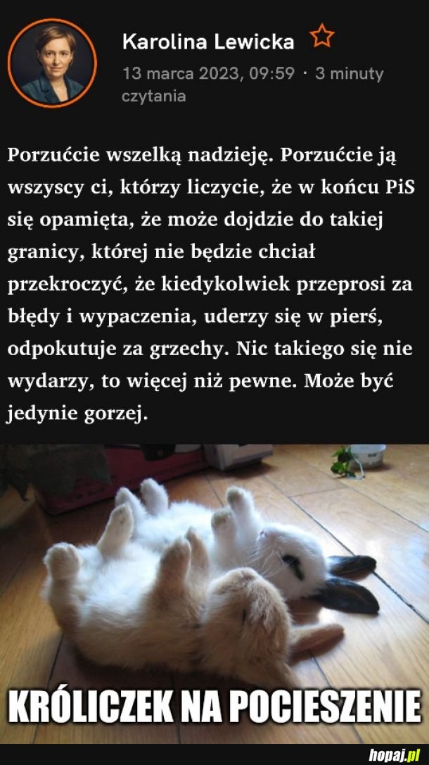 Króliczek na pocieszenie