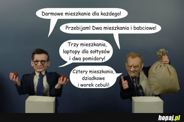 Licytacja