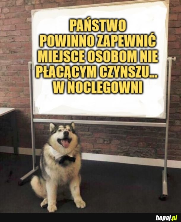 Noclegownia