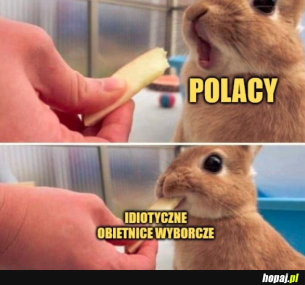 Obietnice
