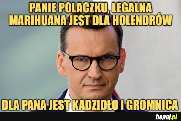 Polska marihuana