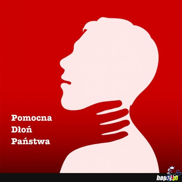 Pomocna dłoń państwa