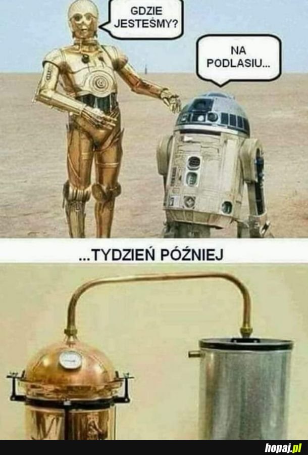 R2D2 po tygodniu na Podlasiu