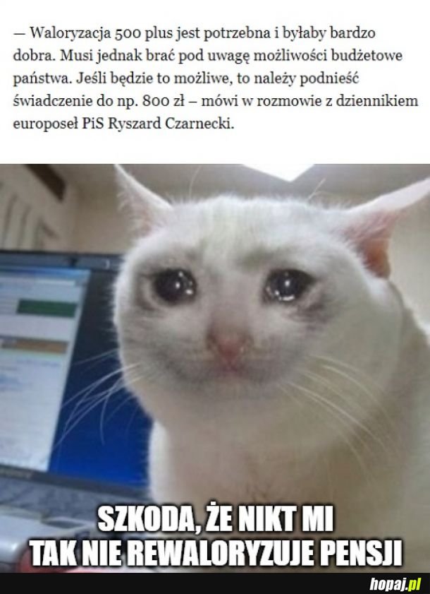 Rewaloryzacja 800 plus