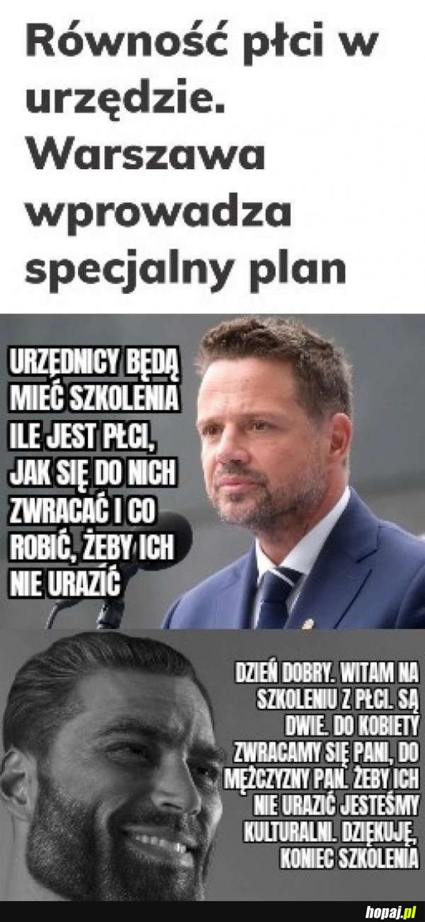 Równość płci w urzędzie