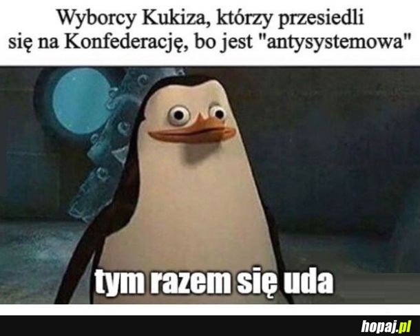 Tym razem się uda