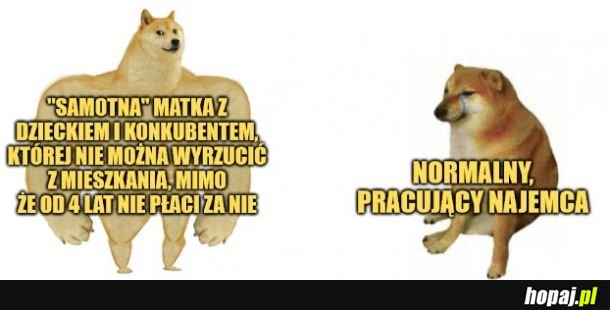 Wynajmowanie