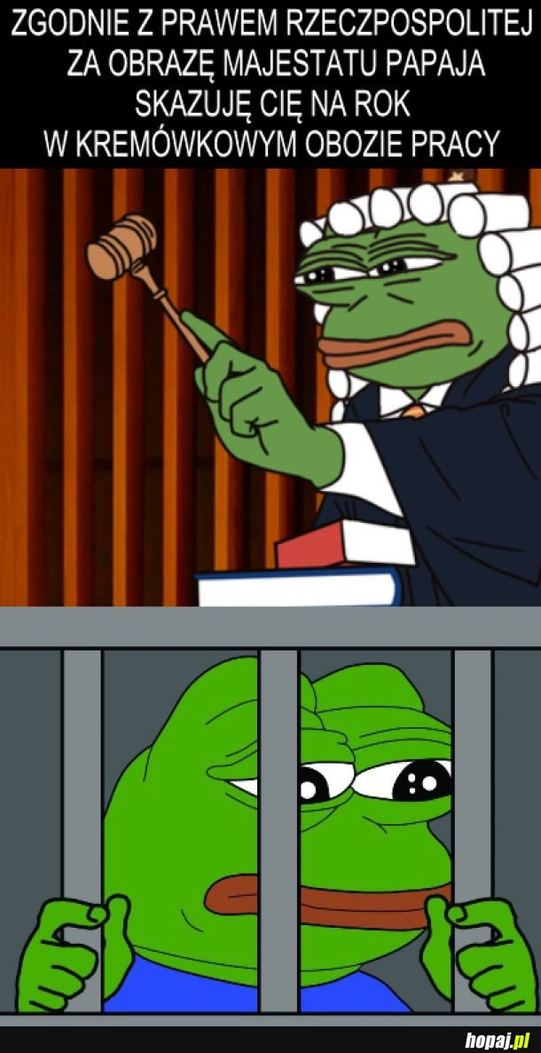 Za zniewage majestatu Papaja