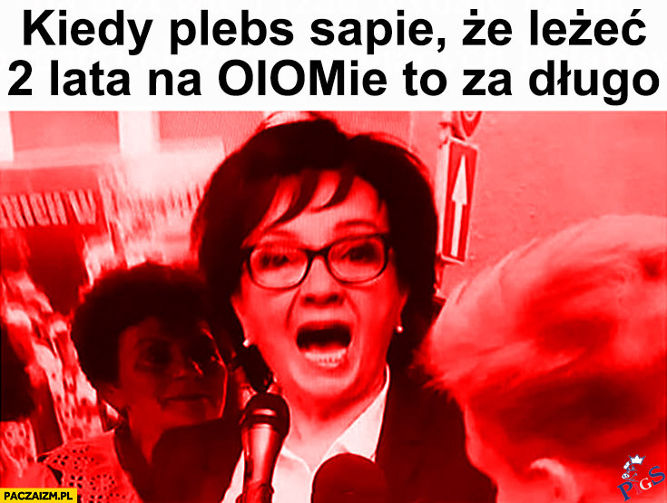 Kiedy plebs sapie