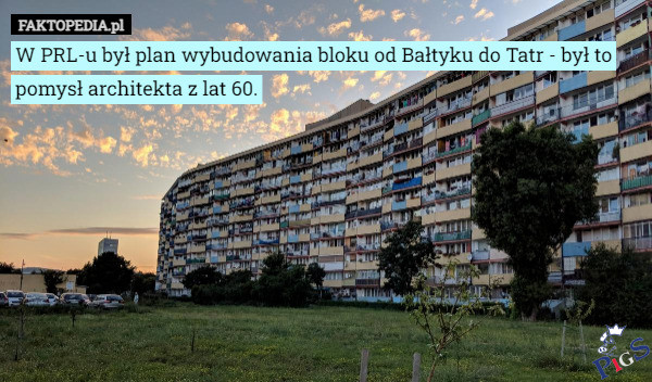 Nie tylko PiSowcy słyną z nierealnych pomysłów