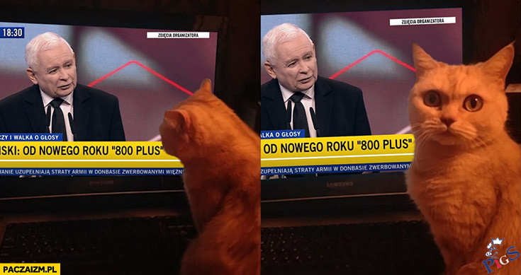 800+