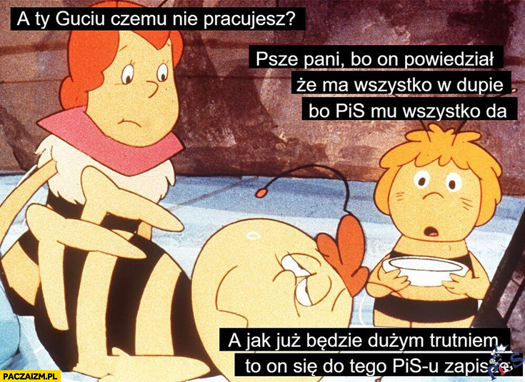 A ty Guciu czemu nie pracujesz?