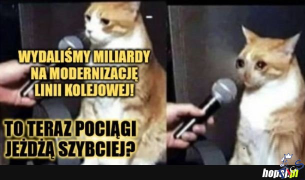 Ciesz się, że jeżdżą