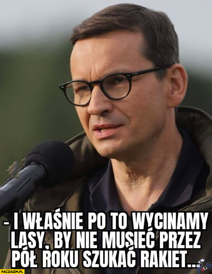 I wlasnie po to wycinamy lasy