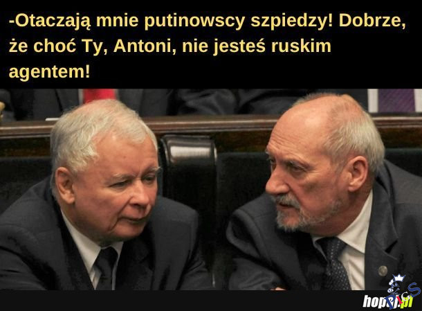 Jedyny zaufany