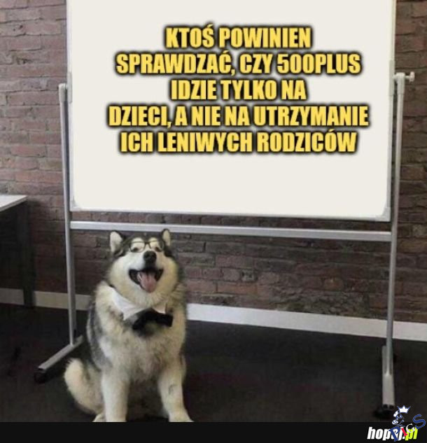 Ktos powinien sprawdzac