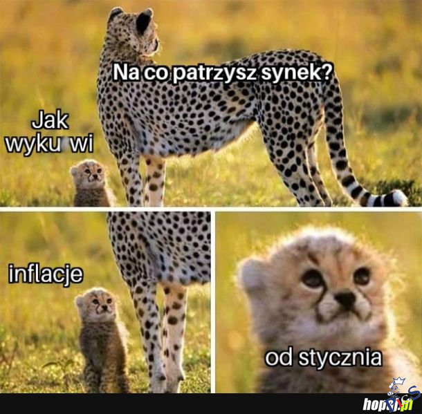 Na co patrzysz synek?