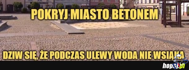 Starosta wypizdziejewski lubi to!