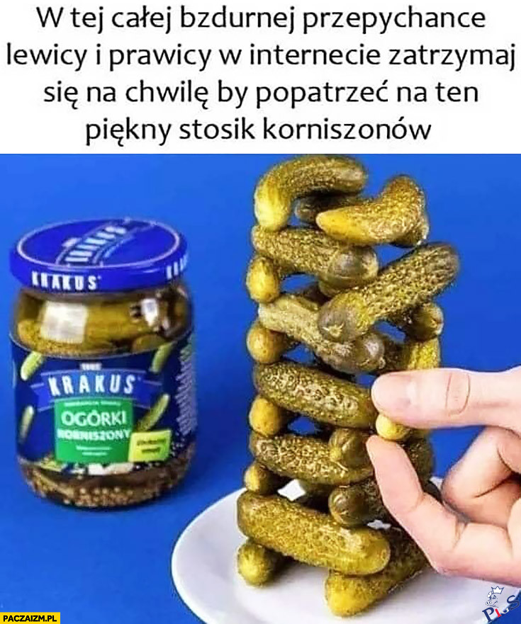 W tej calej bzdurnej przepychance