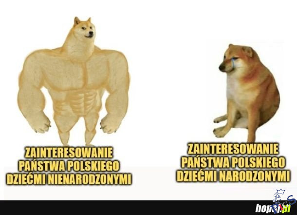 Zainteresowanie dziecmi (wsrod ksiezy wypada nieco inaczej)