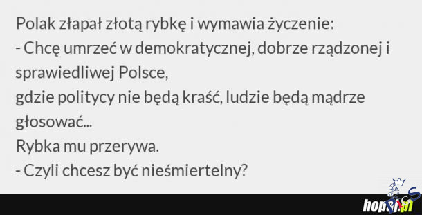 Zlota rybka